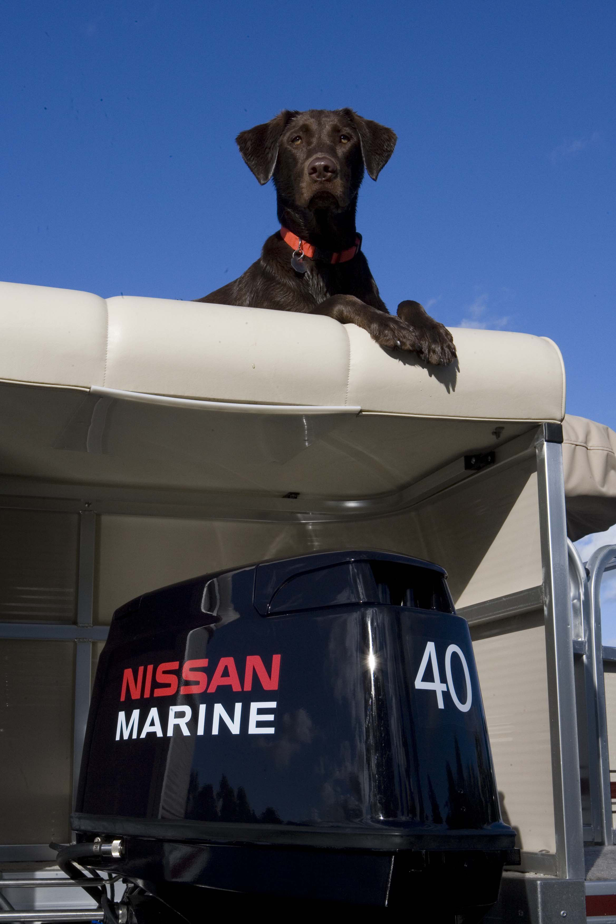Nissan outboard prop chart #6